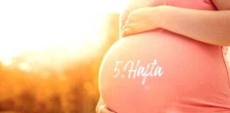 5 haftalık gebelik hafta hafta hamilelik gebelik en iyi bebek