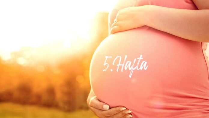 5 haftalık gebelik hafta hafta hamilelik gebelik en iyi bebek