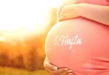 Hafta Hafta Hamilelik 6 haftalik hamile gebelik gelişimi hamileligin 6 haftası bebek takibi en iyi bebek